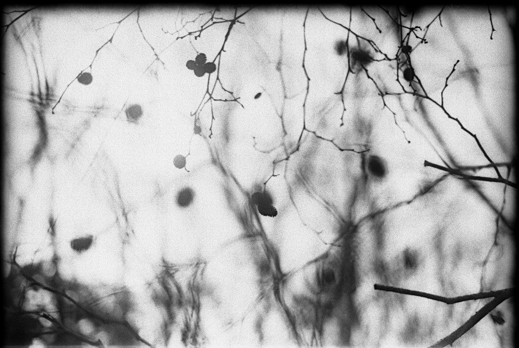 1-150315-Minolta-retro80-004