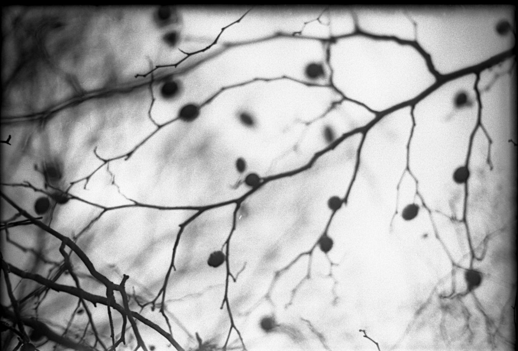 1-150315-Minolta-retro80-006