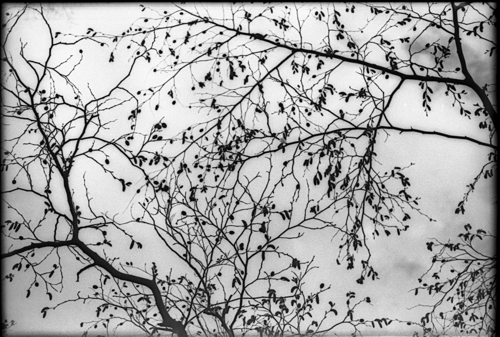 1-150315-Minolta-retro80-009