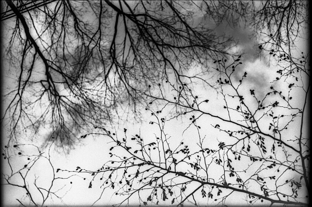 1-150315-Minolta-retro80-010