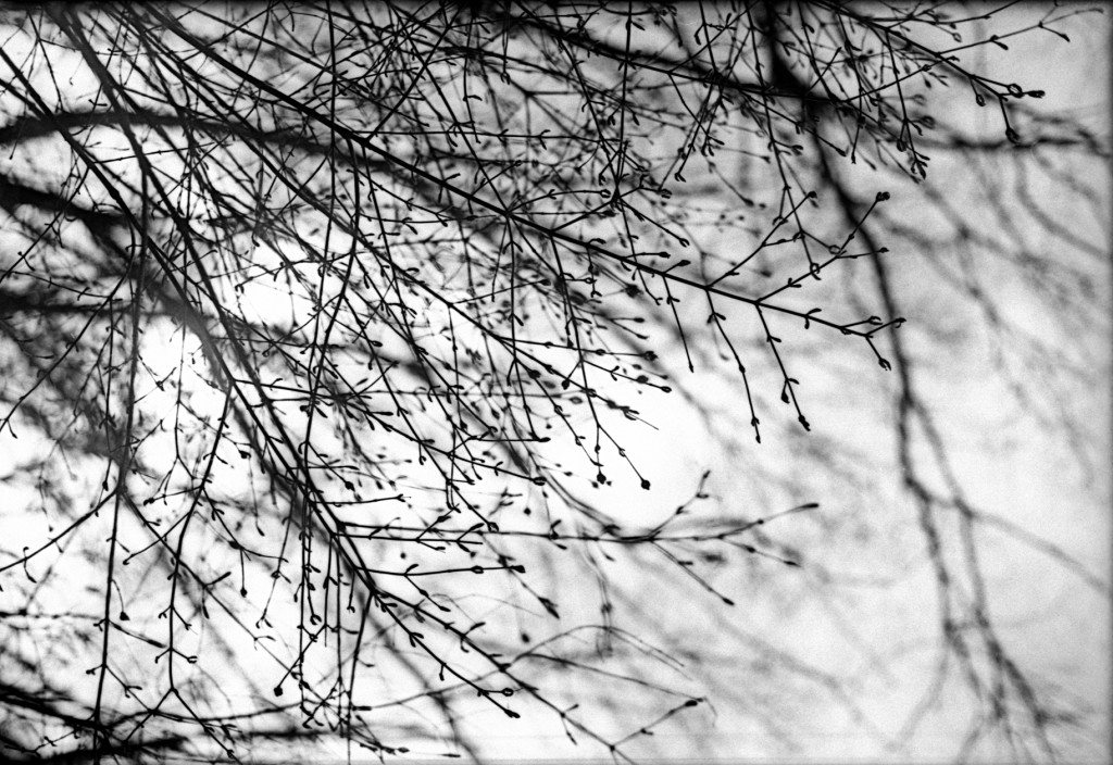 1-150315-Minolta-retro80-012