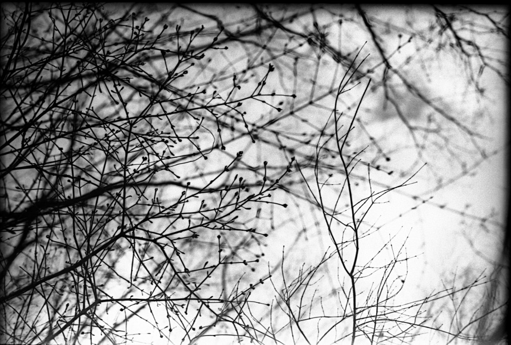 1-150315-Minolta-retro80-013