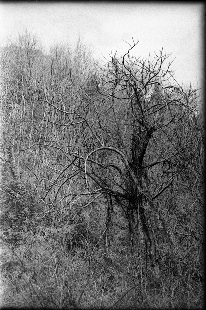 1-150315-Minolta-retro80-014