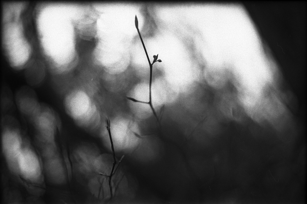 1-150315-Minolta-retro80-015