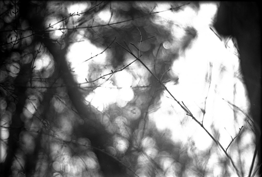 1-150315-Minolta-retro80-017