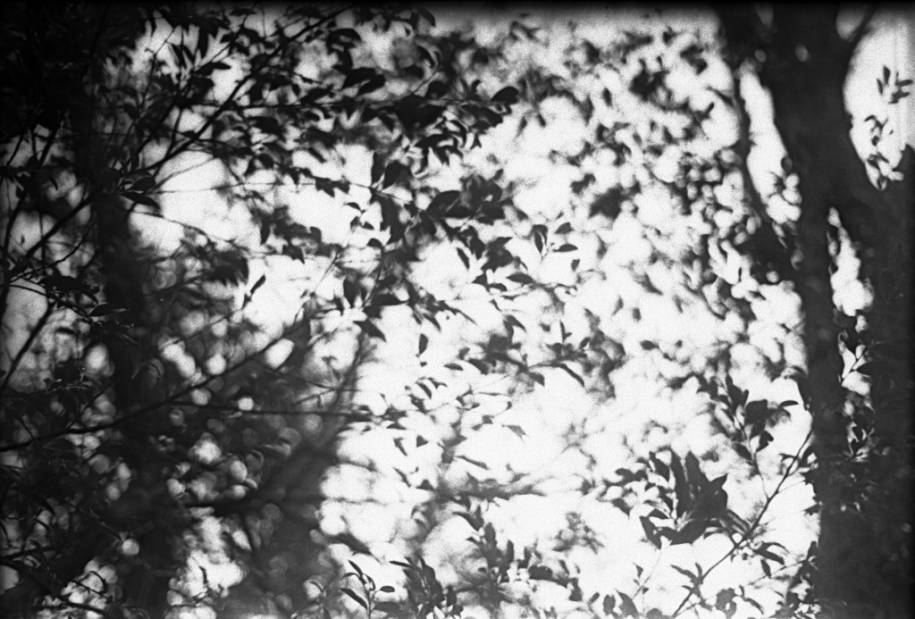 1-150315-Minolta-retro80-018