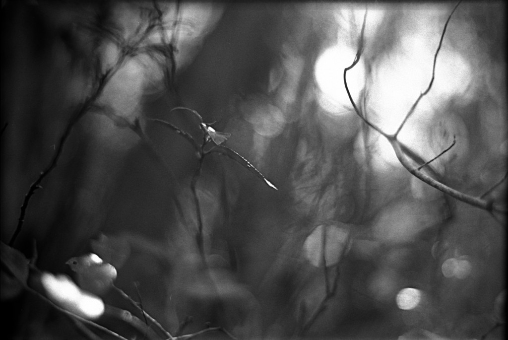 1-150315-Minolta-retro80-019