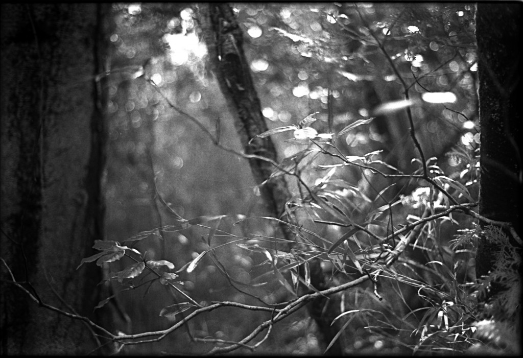 1-150315-Minolta-retro80-024