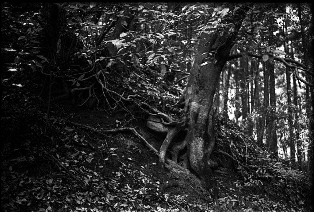 1-150315-Minolta-retro80-025