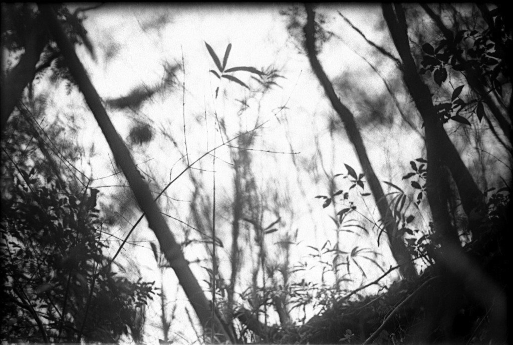 1-150315-Minolta-retro80-028