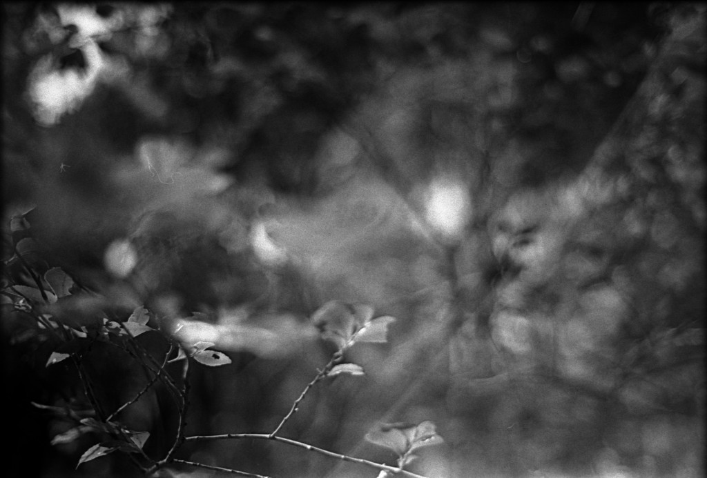 1-150315-Minolta-retro80-029