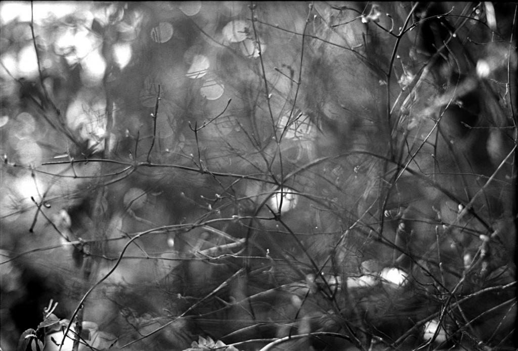 1-150315-Minolta-retro80-031