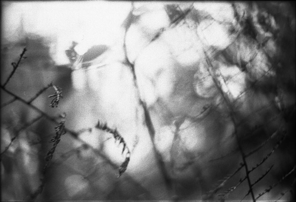 1-150315-Minolta-retro80-034