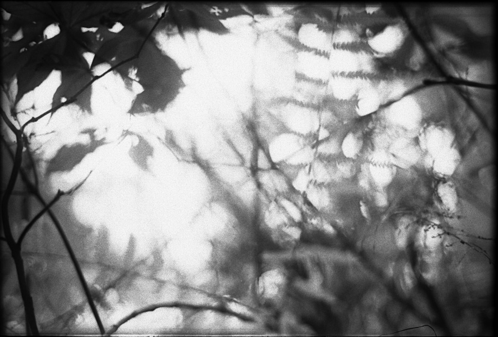 1-150315-Minolta-retro80-035