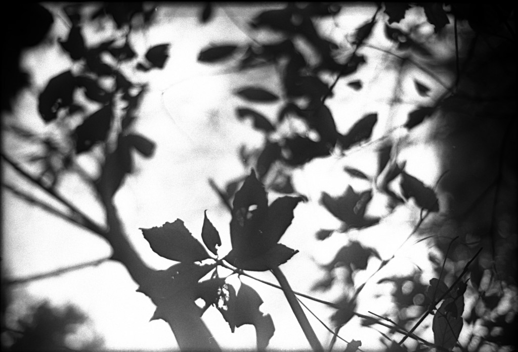 1-150315-Minolta-retro80-036