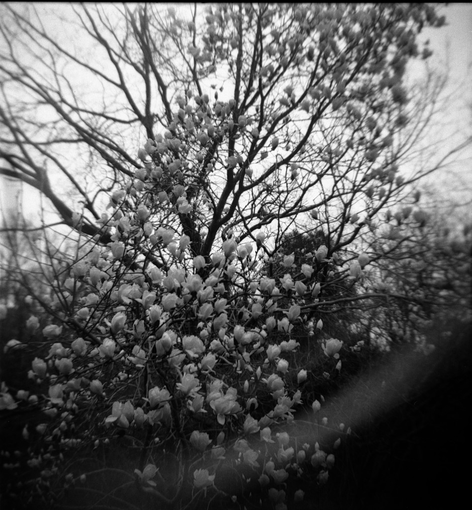 1-150321hrc620-foma1-02