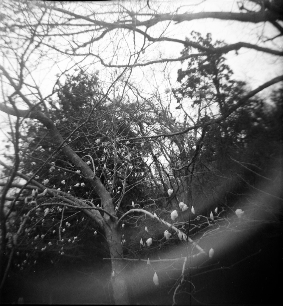 1-150321hrc620-foma1-03