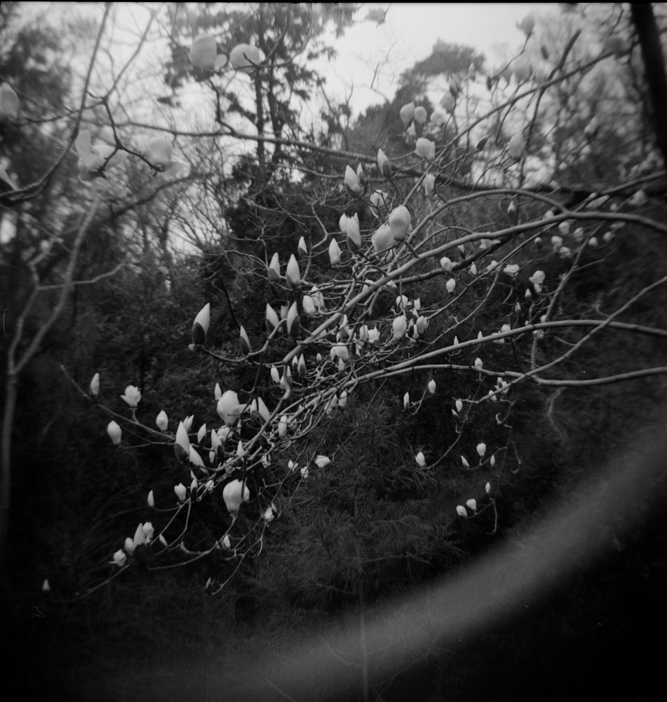 1-150321hrc620-foma1-04