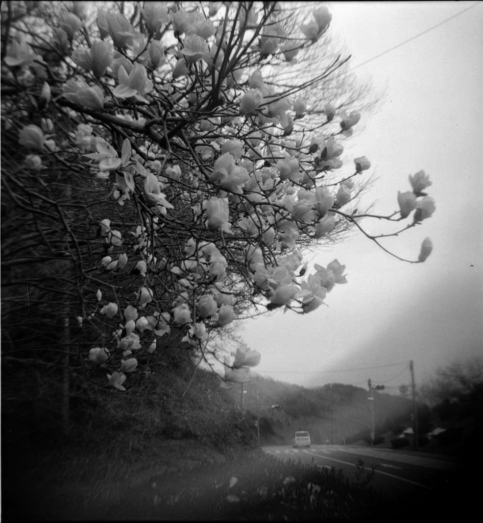 1-150321hrc620-foma1-05