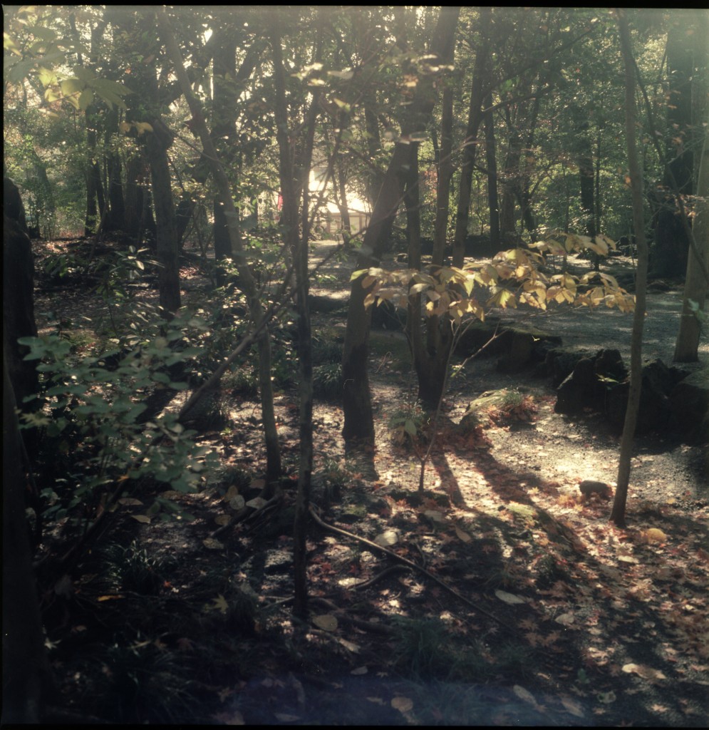 1-150322dev-portra160-002