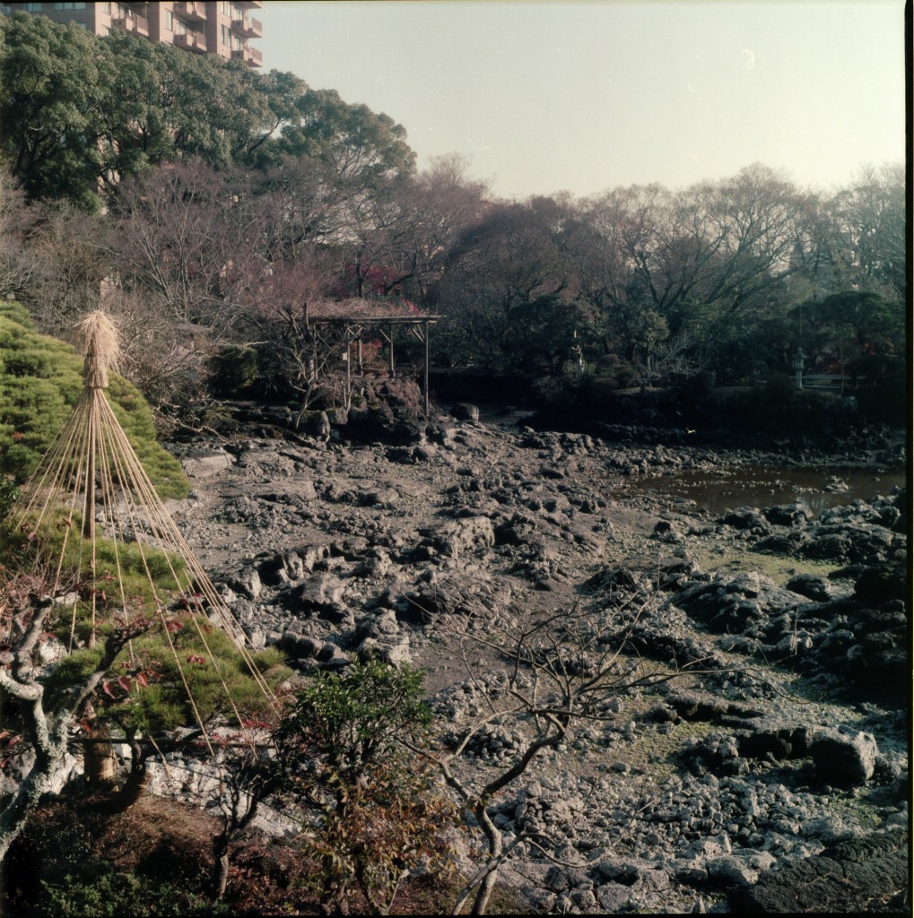 1-150322dev-portra160-004