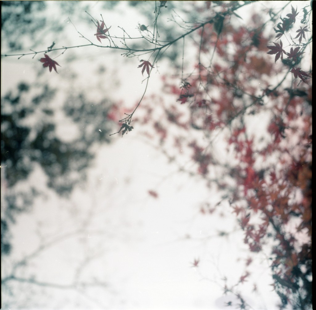 1-150322dev-portra160-006