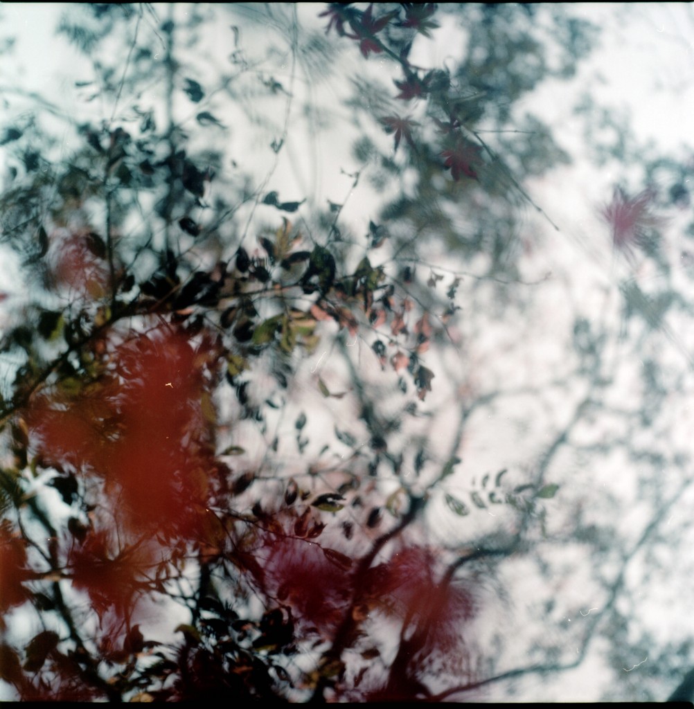 1-150322dev-portra160-007