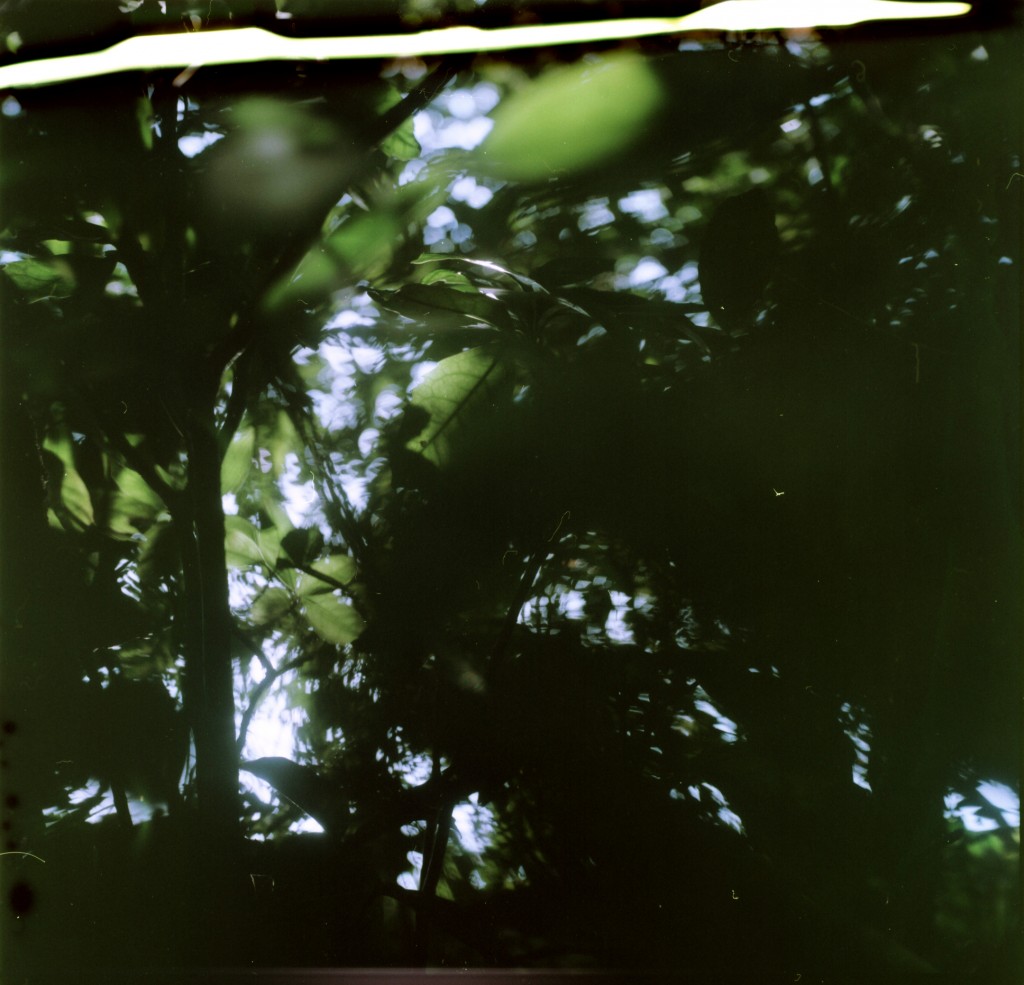 1-150322dev-portra160-010