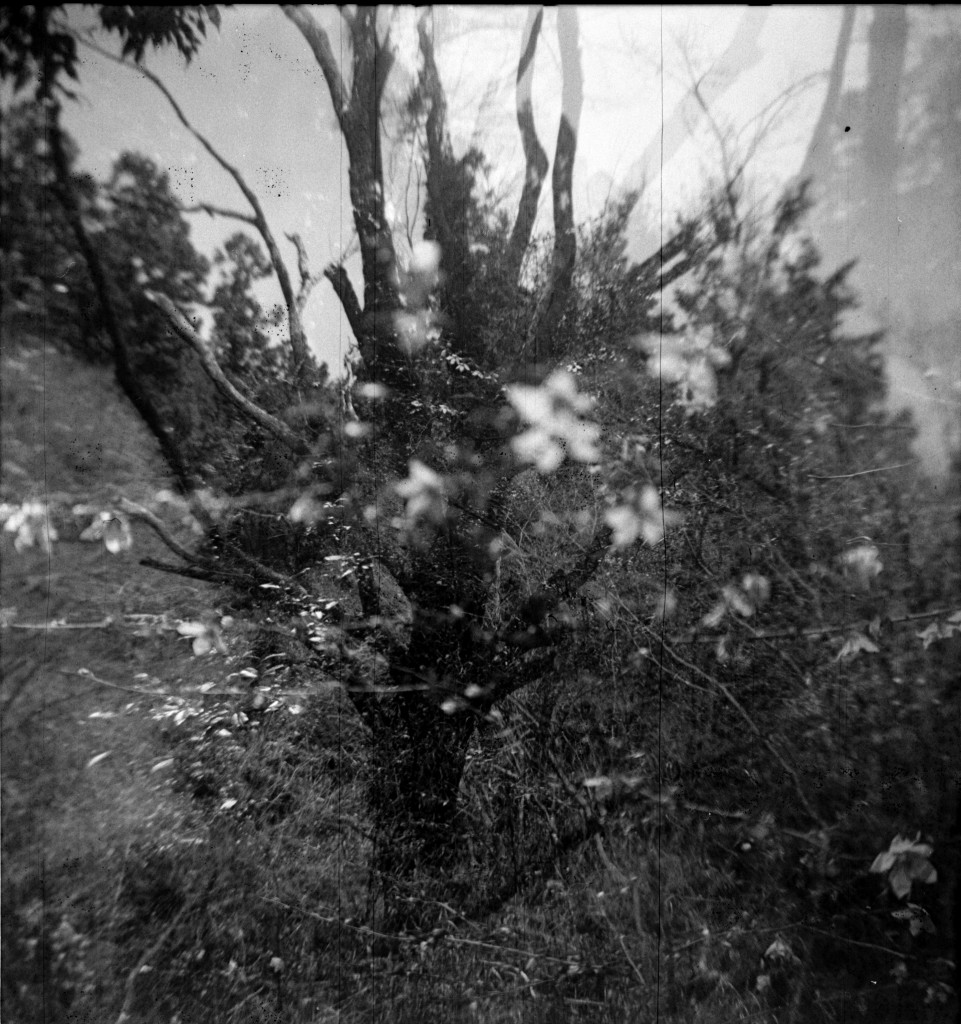 1-150322hrc-efk1-004