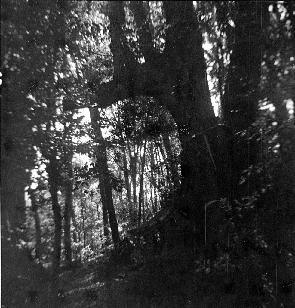 1-150322hrc-efk1-010