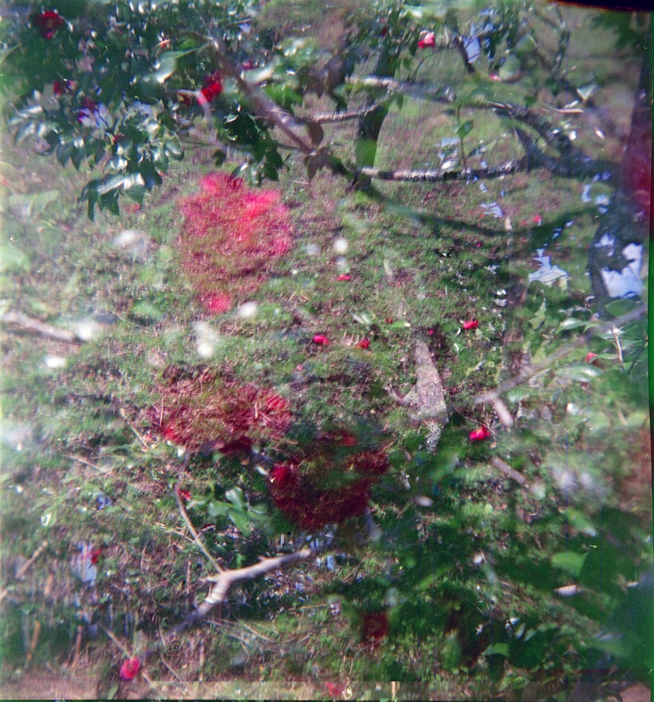 1-150322hrc620-lomo-007