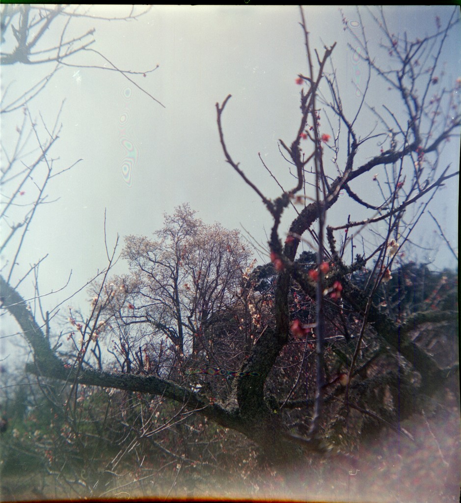 1-150322hrc620-lomo-009