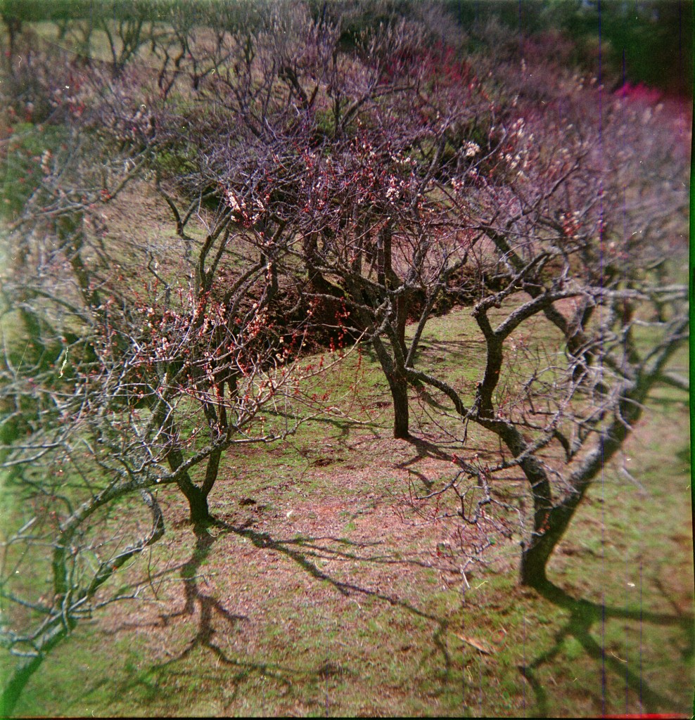 1-150322hrc620-lomo-010