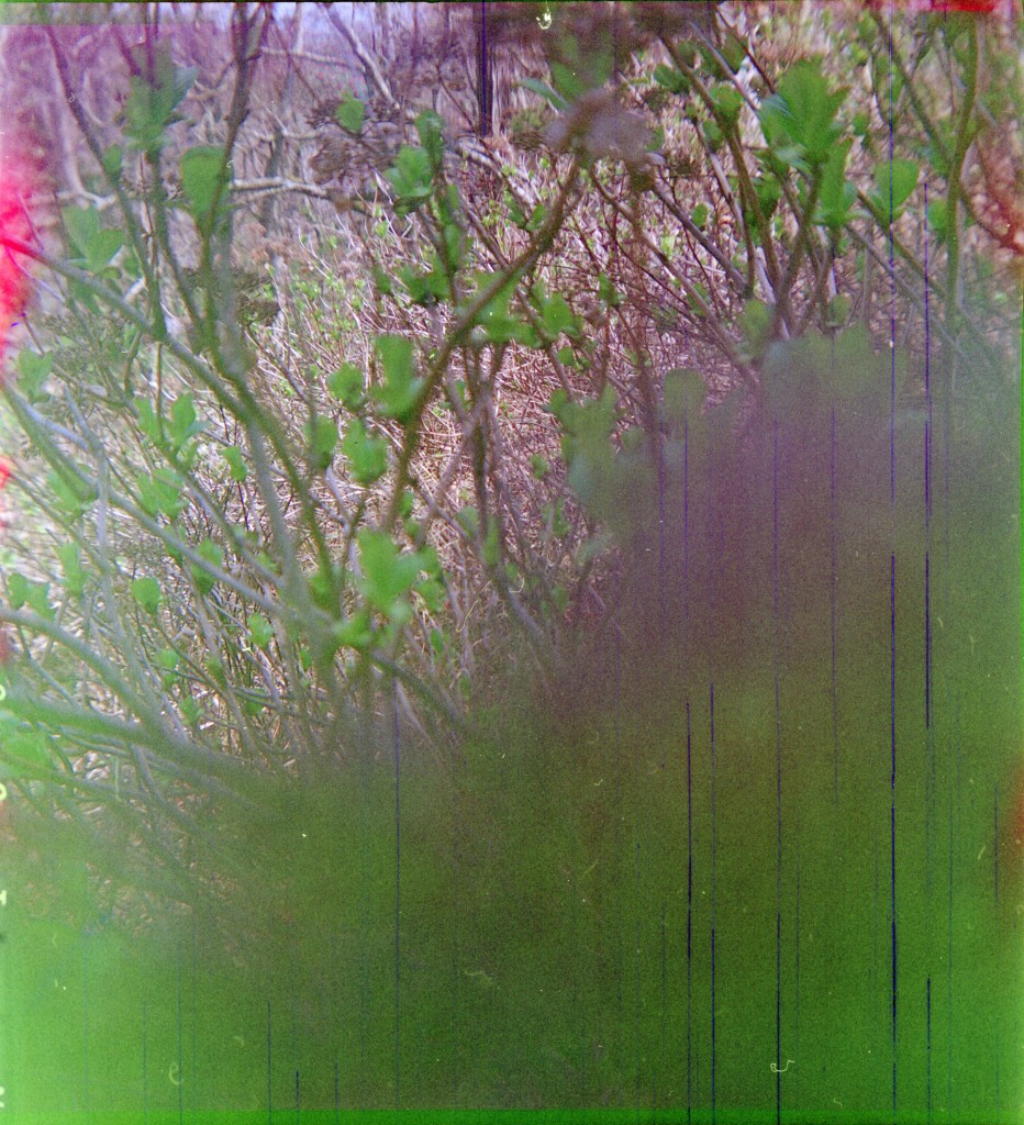 1-150322hrc620-lomo-011