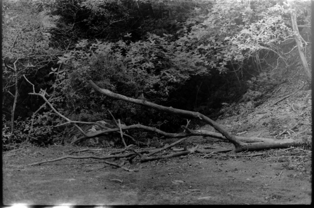 1-150426SP-retro80-004