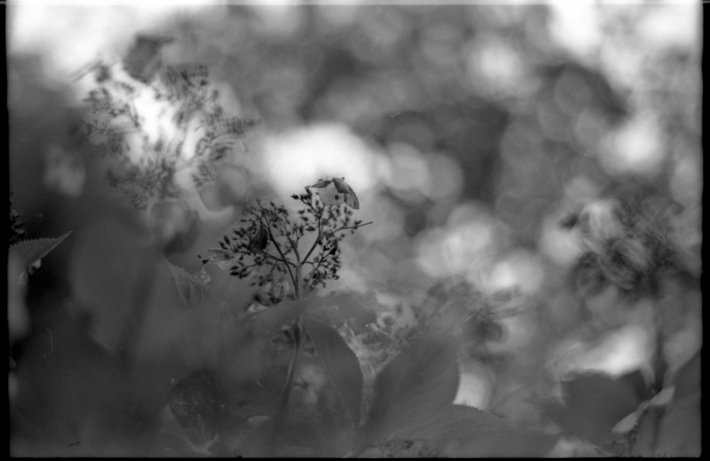 1-150426SP-retro80-014