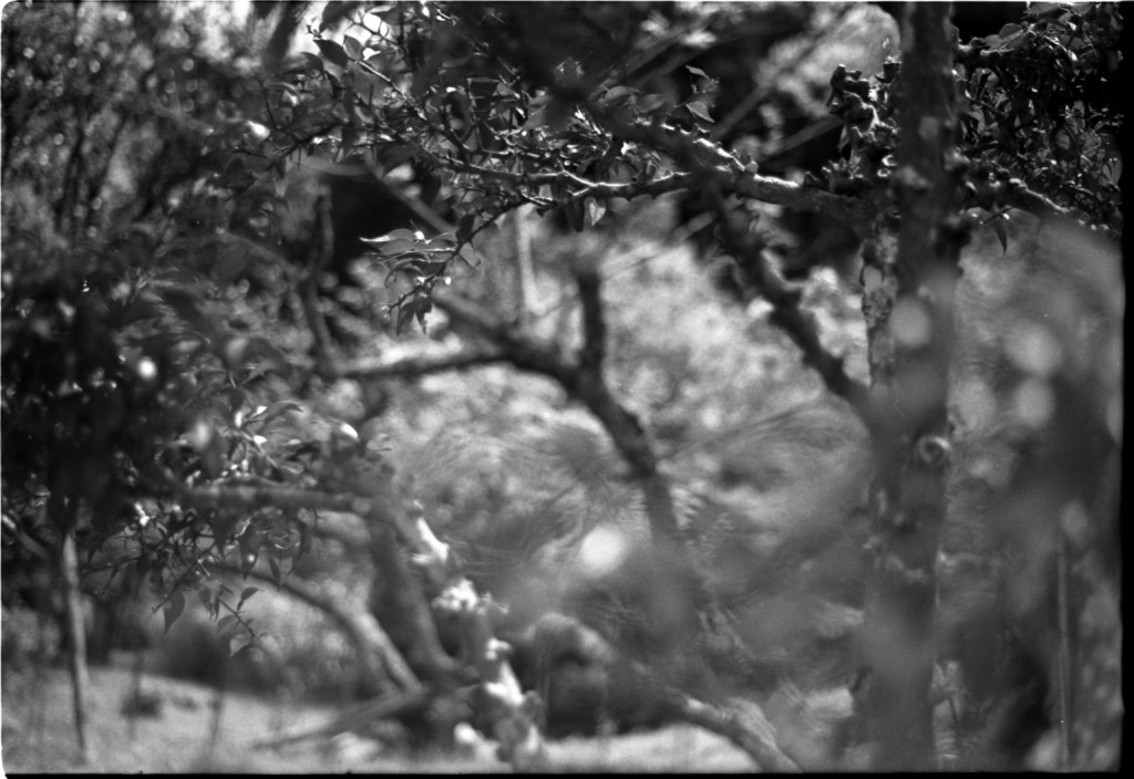 1-150426SP-retro80-017