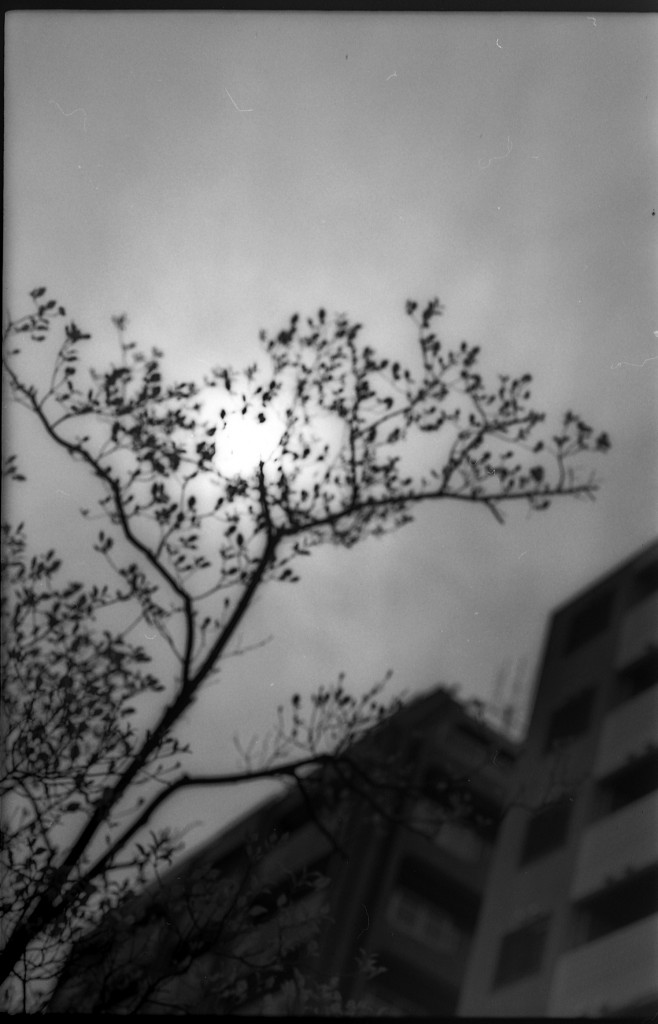 1-150426SP-retro80-038