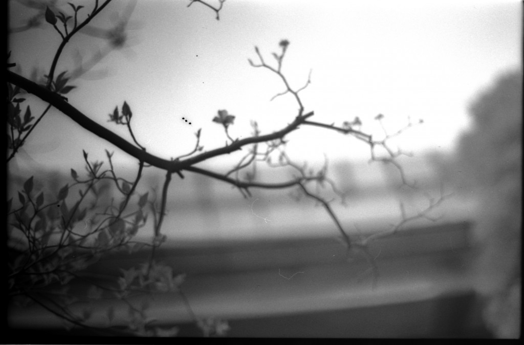 1-150426SP-retro80-039