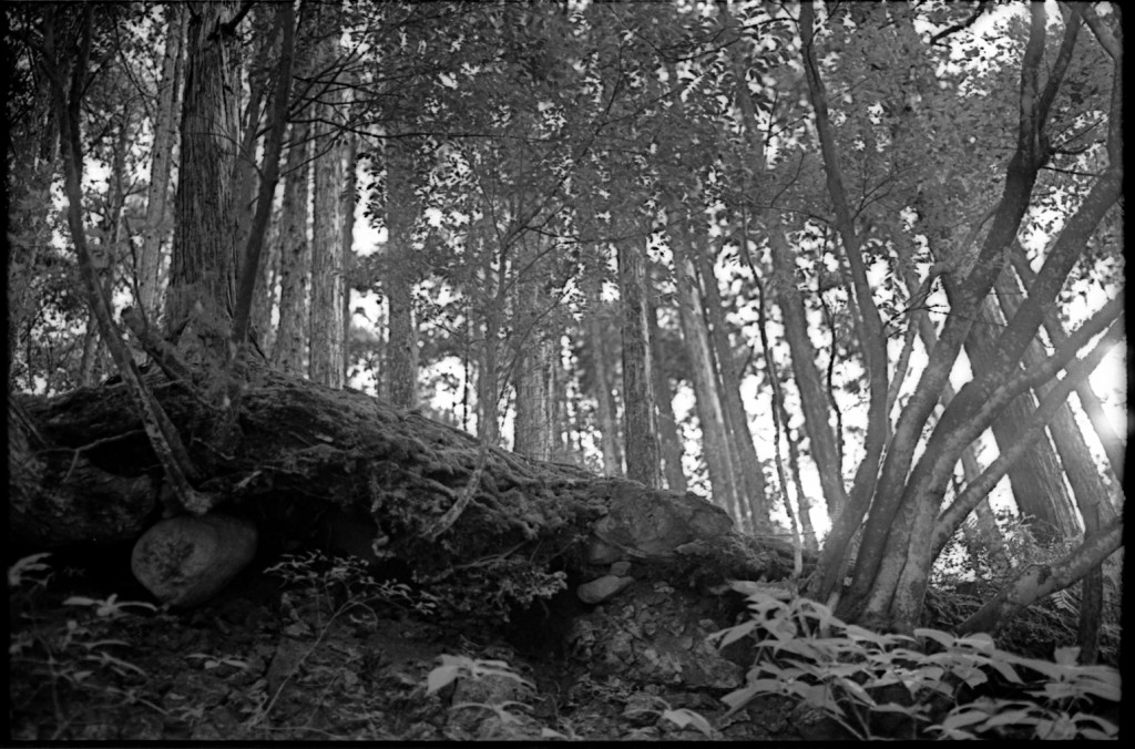 1-150504SP-retro80-004