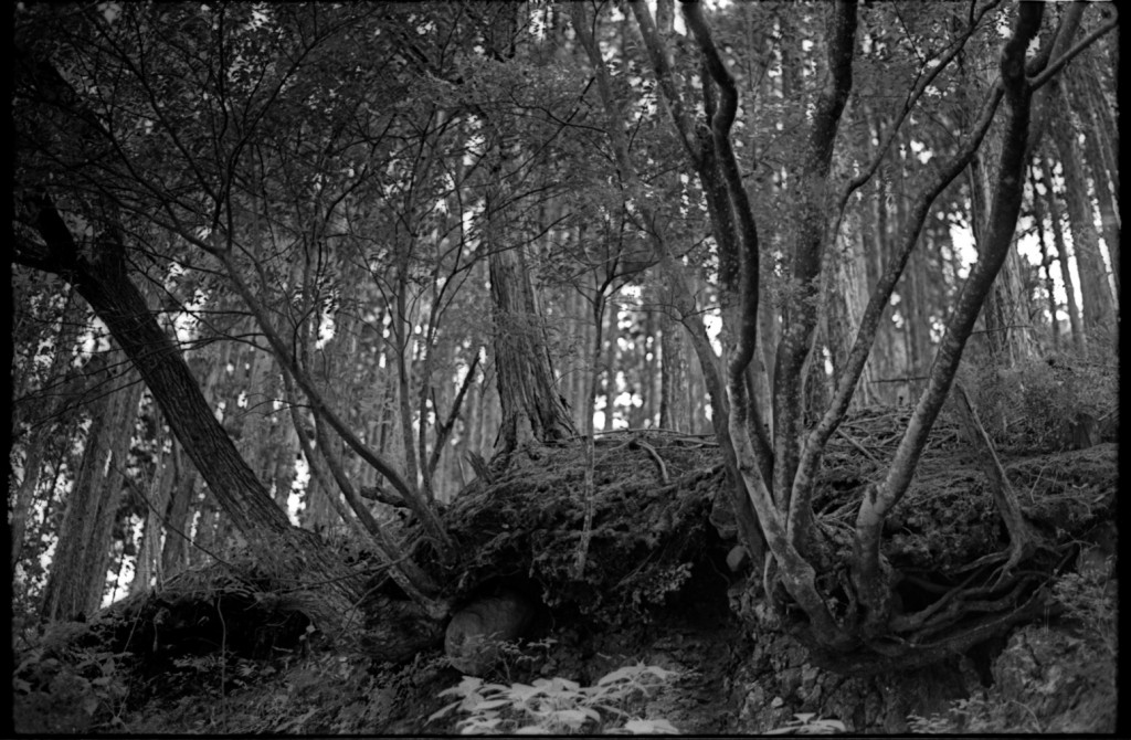 1-150504SP-retro80-005