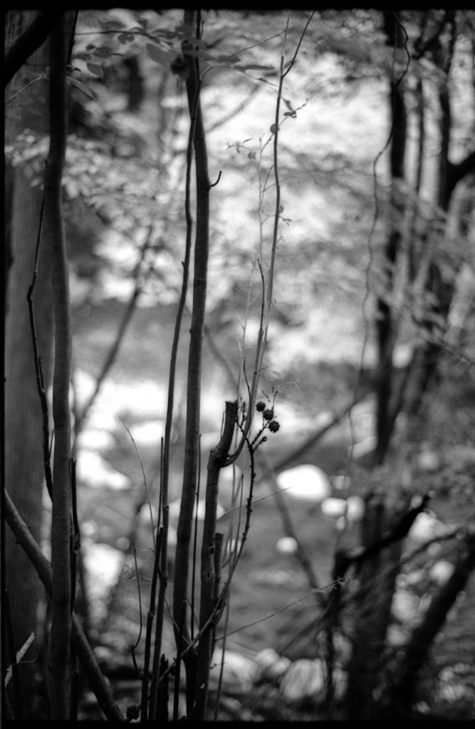 1-150504SP-retro80-006