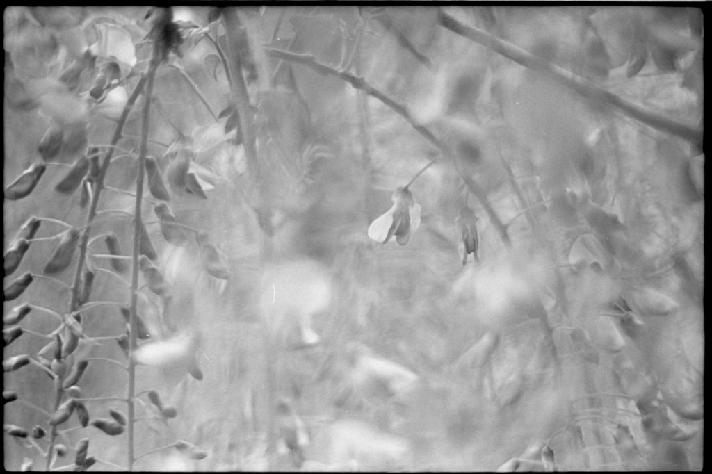 1-150504SP-retro80-011