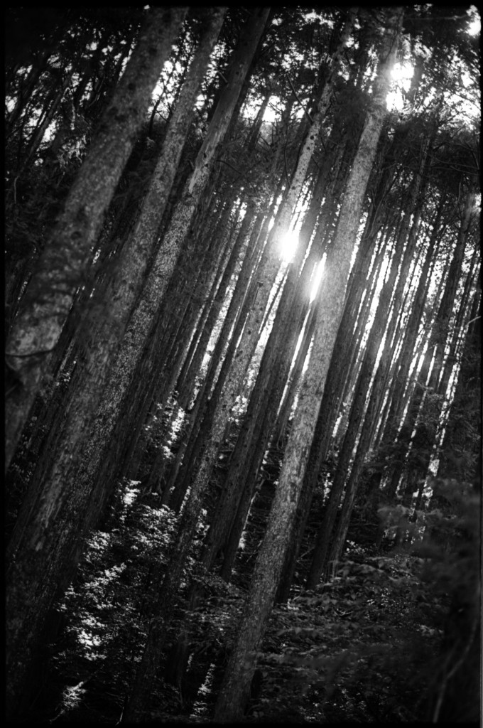 1-150504SP-retro80-014