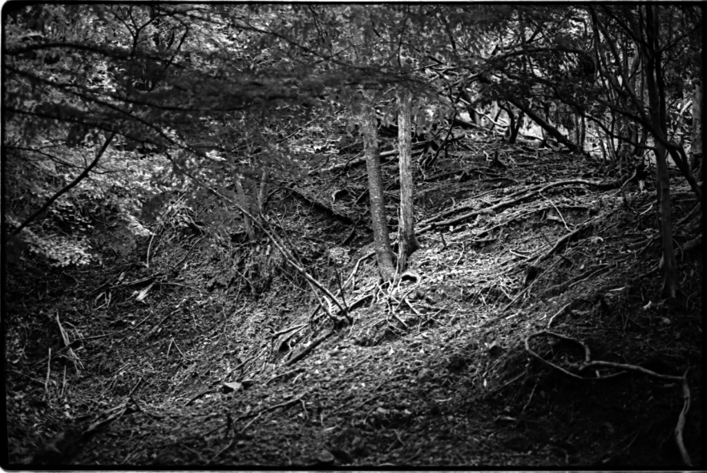 1-150504SP-retro80-019