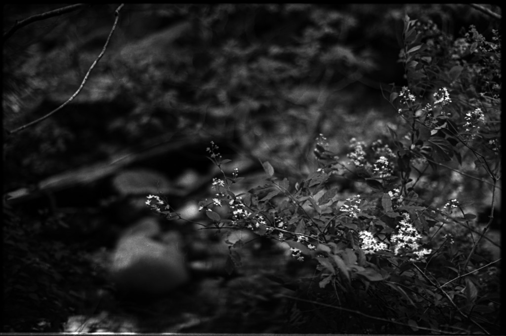 1-150504SP-retro80-022