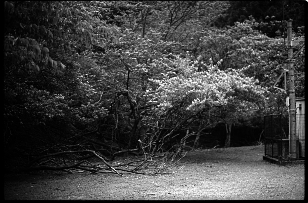 1-150504SP-retro80-025