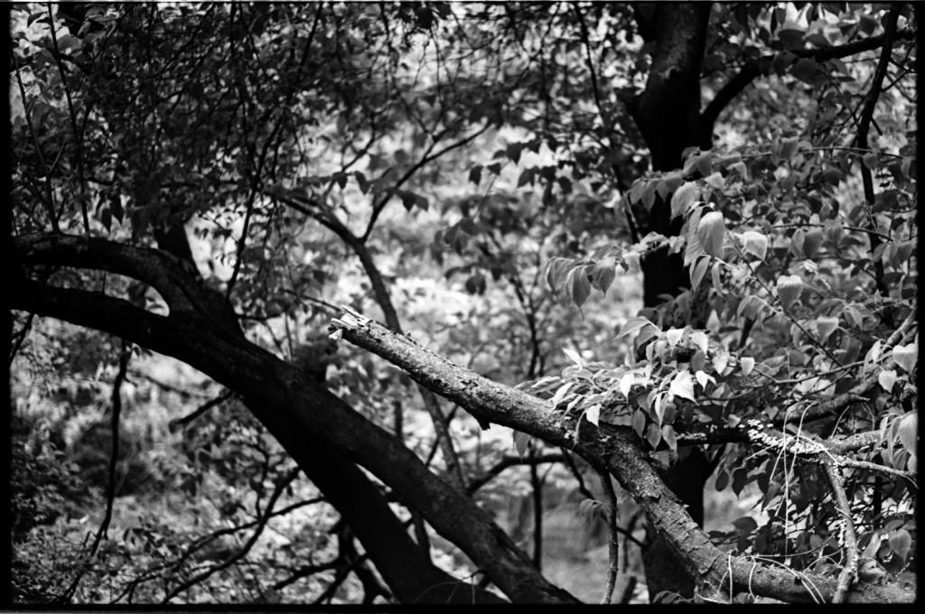 1-150504SP-retro80-026