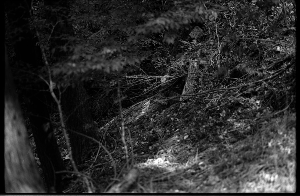 1-150504SP-retro80-027