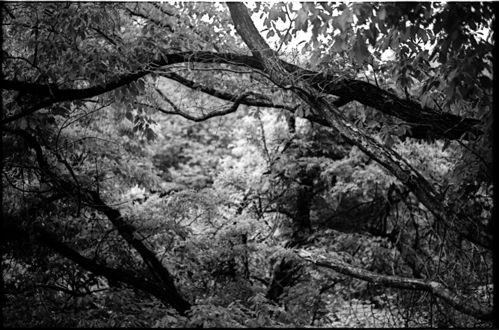 1-150504SP-retro80-029